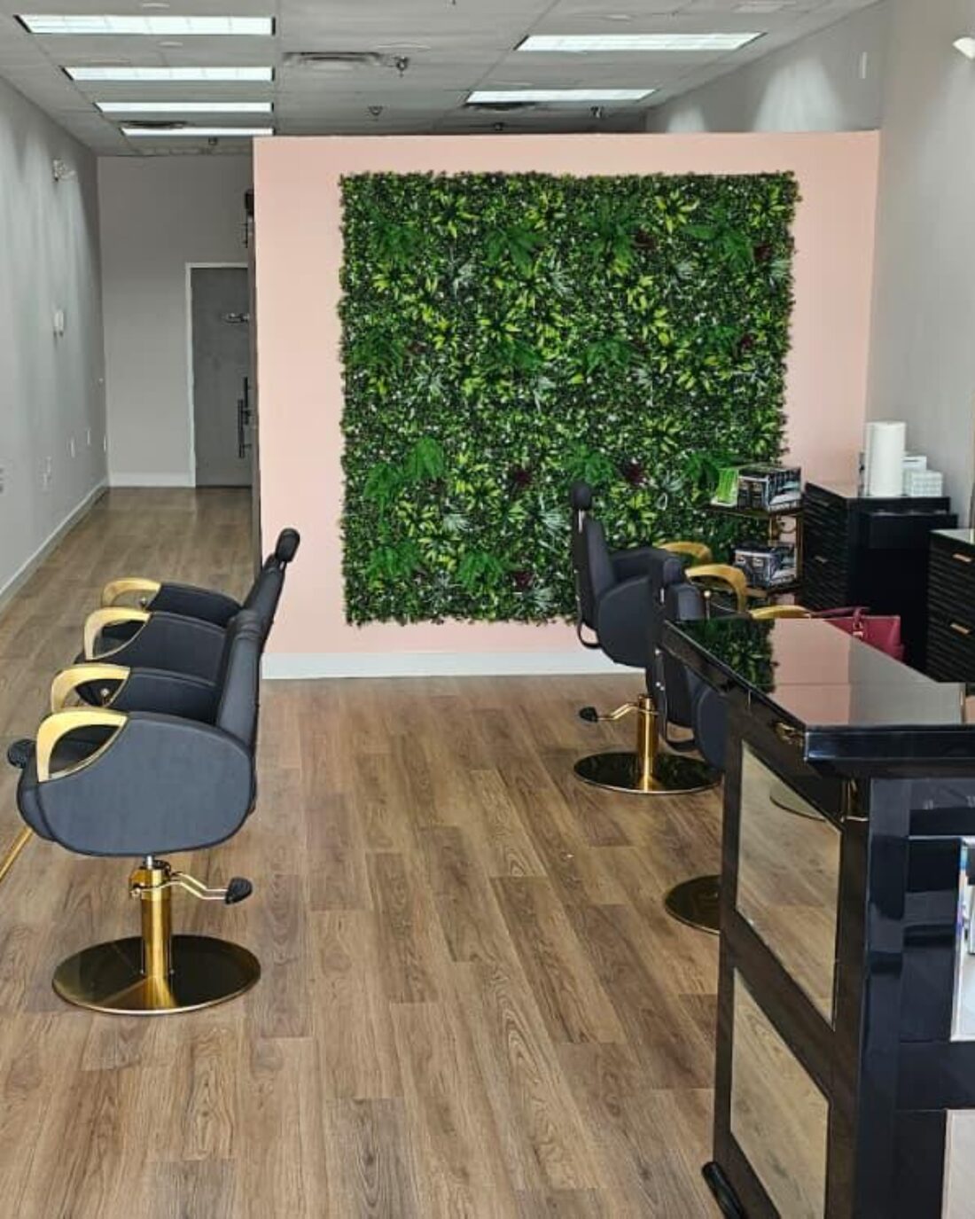 Styling chairs beside the studio's living green wall